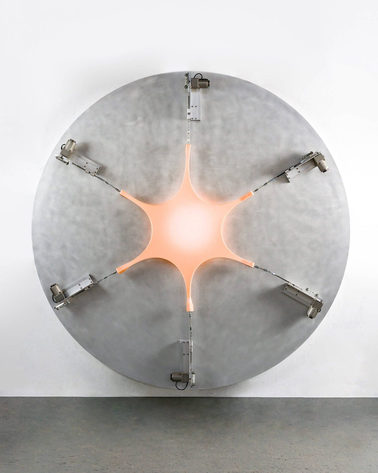 Brecht Wright Gander / Flesh Light / Kinetic Sculpture / 2022