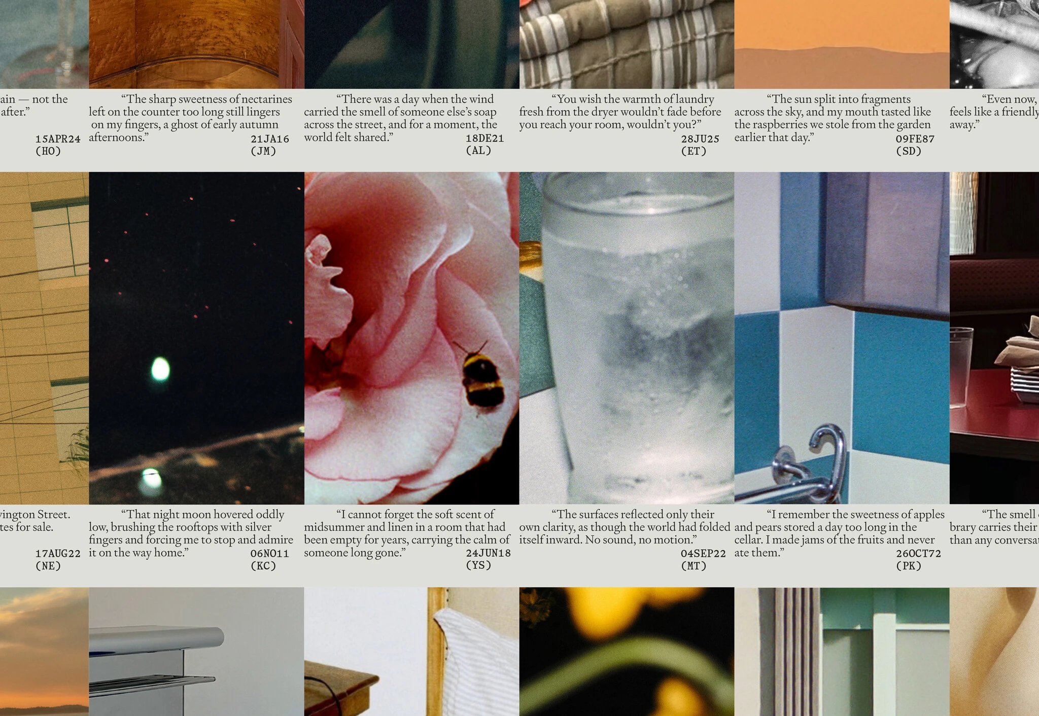 (Studio) Lotta Nieminen / SSK (Labs) / Editorial / 2026